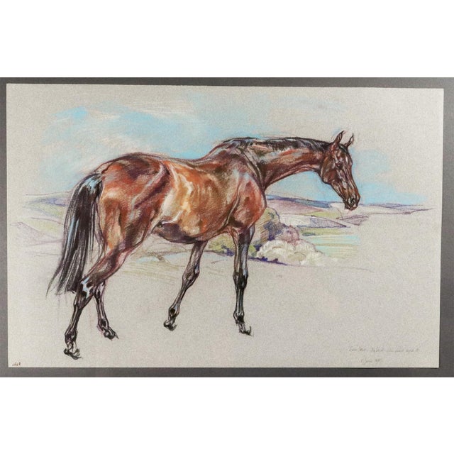 Horse Pastel Painting by Leslie Charlotte Benenson of Erin Star. 3/4 Bred Irish Mare Aged 18. / 1 June 1985 For Sale - Image 4 of 6