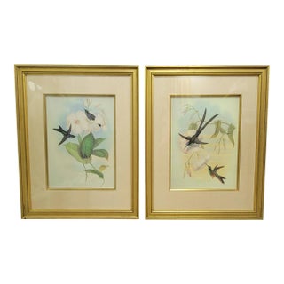 Pair of Framed John Gould Hummingbird Botanical Prints in Gold Frames For Sale