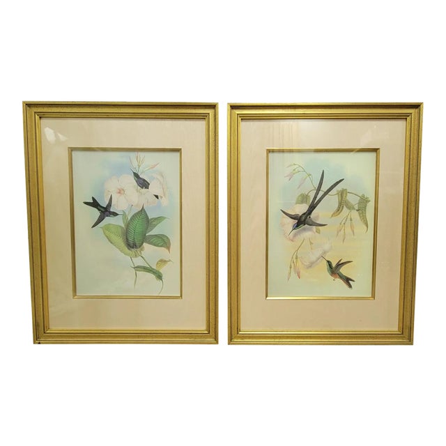 Pair of Framed John Gould Hummingbird Botanical Prints in Gold Frames For Sale