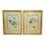 Pair of Framed John Gould Hummingbird Botanical Prints in Gold Frames For Sale