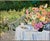 Impressionist Ellen Gunn Garden Moments Ii Circa 1990 Reproduction Print For Sale - Image 3 of 5