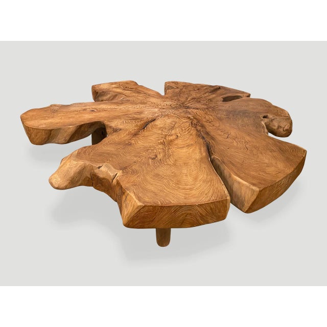 Andrianna Shamaris Organic Teak Wood Root Coffee Table For Sale - Image 14 of 18