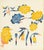 A stencil dyed print by the Japanese artist Kichiemon Okamura (1916-2002). This colorful work depicts an array of various...