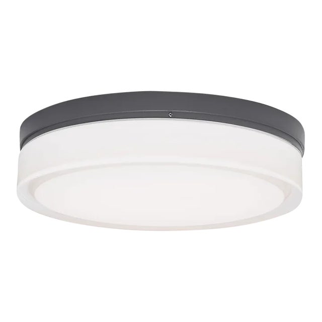 Visual Comfort Modern Cirque Large Outdoor Wall and Flush Mount LED Charcoal For Sale