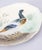 Late 19th Century 19th Century French Choisy Le Roi Majolica Mallard Duck Plate For Sale - Image 5 of 8