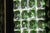 Green Murano Glass Wall Lights, 2000s, Set of 2 For Sale - Image 15 of 18