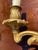 Louis XV Style Gilt Bronze Sconces, 19th Century, Set of 2 For Sale - Image 9 of 12