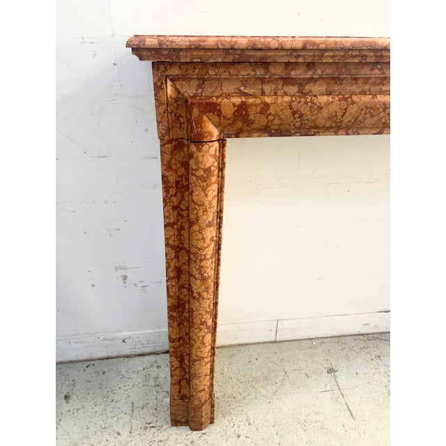 Louis XIV Style Fireplace in Speckled Breccia Marble, 1800s For Sale - Image 4 of 12