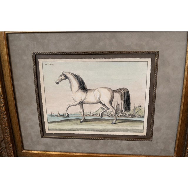 A striking monumental pair of French equestrian style engravings presented in deeply carved antiqued gilt wood frames....
