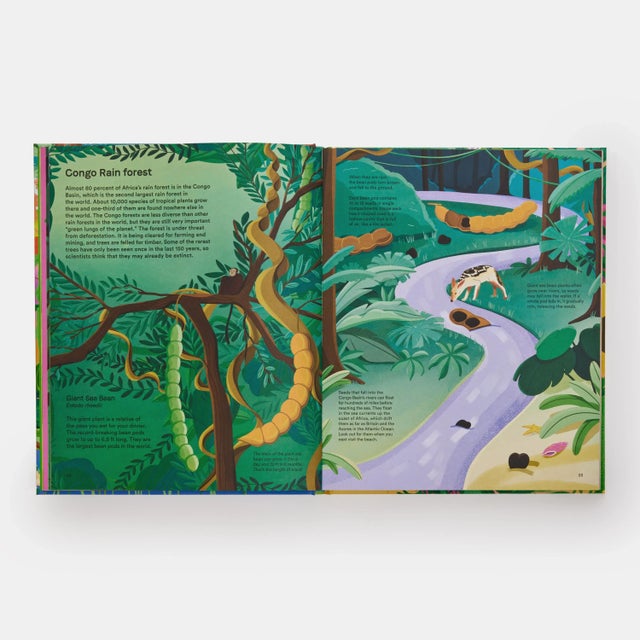 Paper A Home for Every Plant Book For Sale - Image 7 of 9