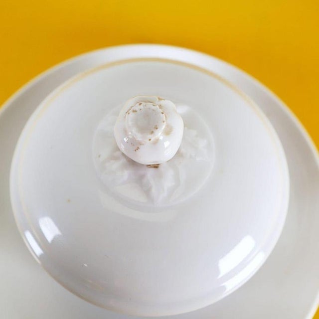 Serving Dish with Lid from Ginori For Sale - Image 3 of 9