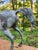 Late 20th Century Late 20th Century Brass Horse Stallion Sculpture Patina Green Large For Sale - Image 5 of 12