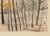 Rene Carcan Crepuscule Color Etching For Sale - Image 4 of 5