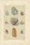 Antique Gemstone Prints with Blue and Green Minerals from Bauer, 1900s, Set of 4 For Sale - Image 5 of 10