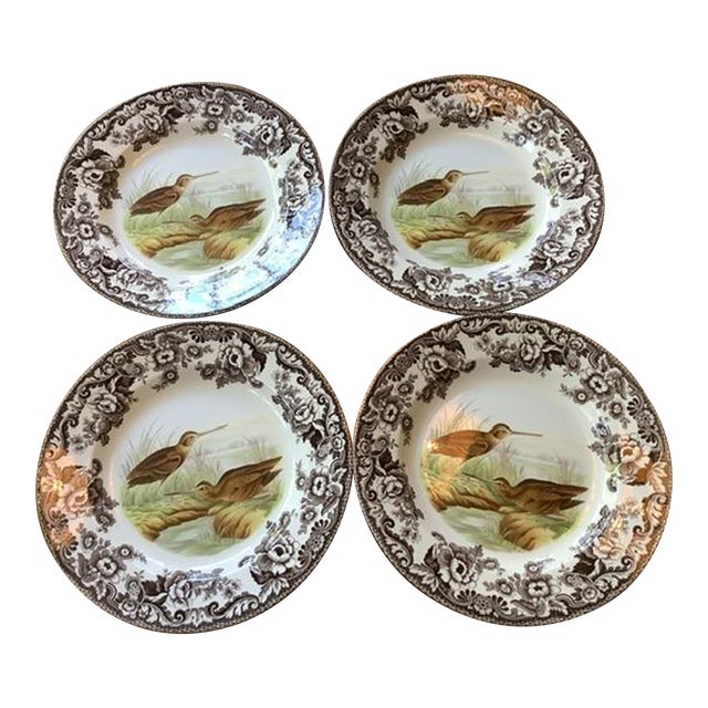 1970s Spode Bird Plates - Set of 4 For Sale