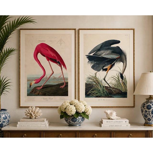 American Flamingo & Great Blue Heron Diptych, Audubon Birds of America Art Prints, 40" X 60" For Sale - Image 11 of 12