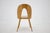 Wood Antoni Suman Chair in Walnut, Czechoslovakia, 1960s For Sale - Image 7 of 15
