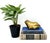 Charming, mid-late 20th century brass trinket box cast in the form of a resting frog. With its sculptural silhouette,...