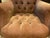 2010s Early 21st Century Tufted Office Chair by Hancock & Moore For Sale - Image 5 of 12