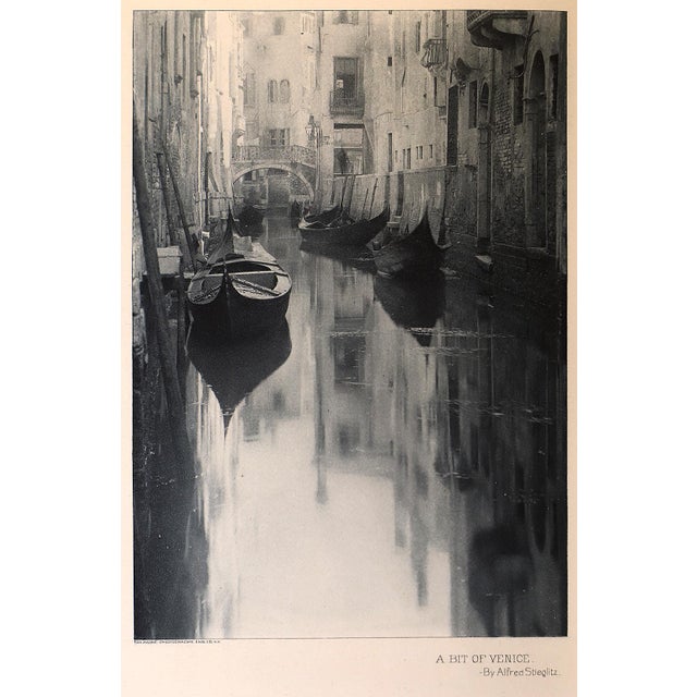 Animal Skin 1898 Photographic Times Vol #30 Complete Excellent 3 Stieglitz Photogravures For Sale - Image 7 of 13