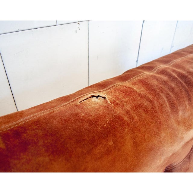 Set of Sofa Set by Antonello Mosca for Cinova Italia, Italy, 1960s For Sale - Image 13 of 14