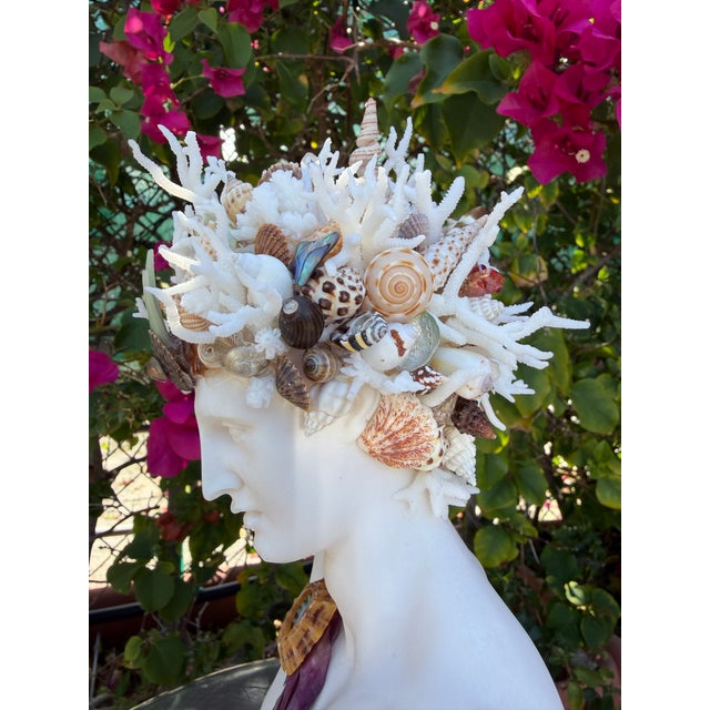 Figurative CSS Seashell 10.5" Bust of Hermes For Sale - Image 3 of 7