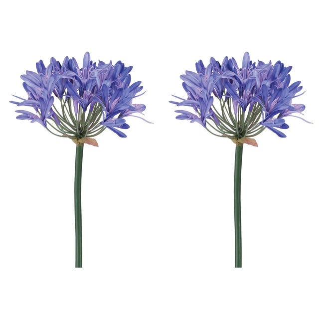 Rustic Agapanthus Flower Stem (Set of 2) For Sale - Image 3 of 3