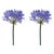 Rustic Agapanthus Flower Stem (Set of 2) For Sale - Image 3 of 3