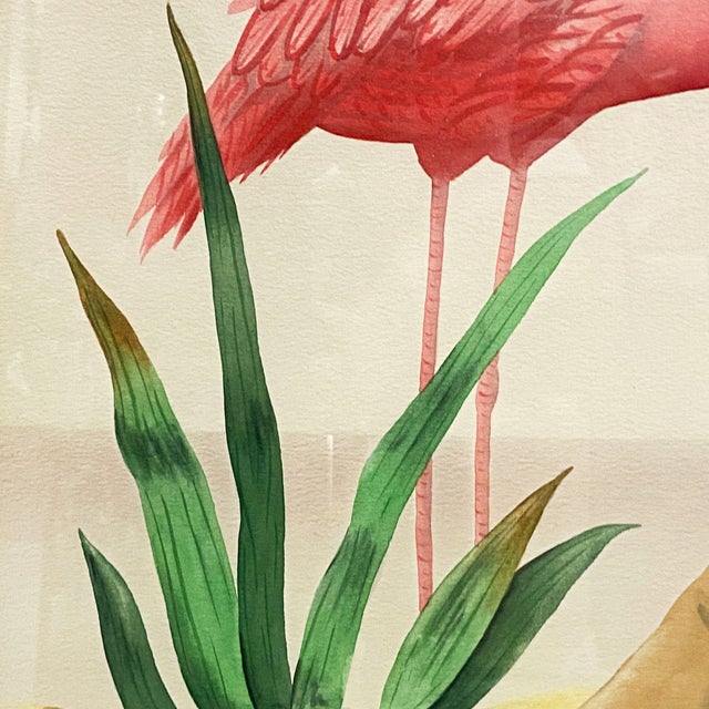 MCM Peeking Pink Flamingo Watercolor on Paper Signed by Shirrell Graves, Framed For Sale In Los Angeles - Image 6 of 9