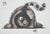 Laszlo Tibay (1962) Cat Watching a Ladybug Ink and wash drawing Signed upper left Authenticated by the artist's stamp On...