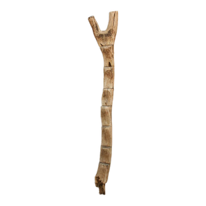 19th Century West African Sun-Bleached Ladder