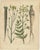 Calwer, Root and Medicinal Plant Botanical Studies, 1852, Prints, Set of 3 For Sale - Image 3 of 10