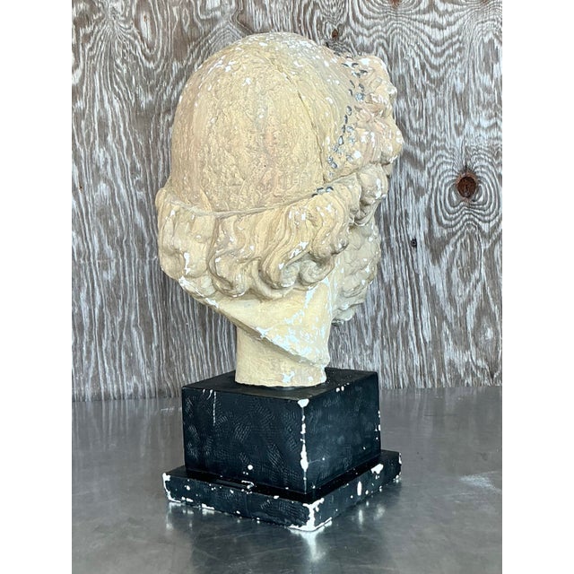 Beige Mid 20th Century Vintage Grand Tour Plaster Bust of Man For Sale - Image 8 of 12