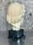 Beige Mid 20th Century Vintage Grand Tour Plaster Bust of Man For Sale - Image 8 of 12
