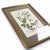 1739 Cherry Blossoms & Fruits Mezzotint | Hand-Colored Johann Weinmann Botanical Print For Sale In Columbus - Image 6 of 9