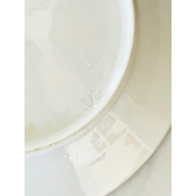 Early 20th Century Antique Holly Berry and Leaves Decorative Plate With Ornate Gold Trim For Sale - Image 5 of 8