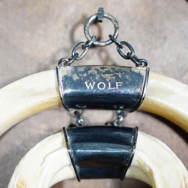 Mid 20th Century Vintage Wild Boar Trophy on Wooden Plaque, Germany 1970s For Sale - Image 5 of 7