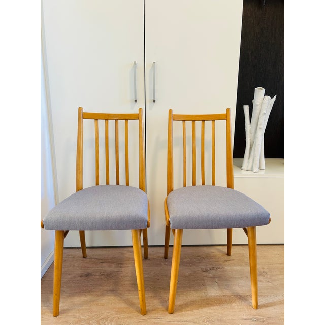 Vintage Dining Chair from Ton, Czechoslovakia, 1960s For Sale - Image 11 of 13