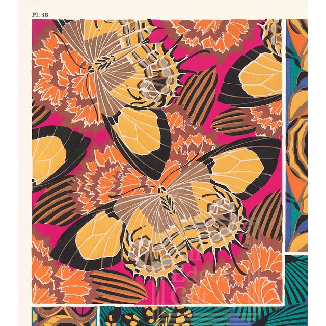 "Butterflies" Plate 18 Reproduction Print After E. A. Seguy For Sale - Image 4 of 4