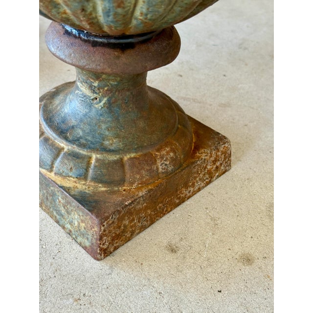 Early 20th Century French Cast Iron Medici Urn Planters – Pair For Sale - Image 10 of 12