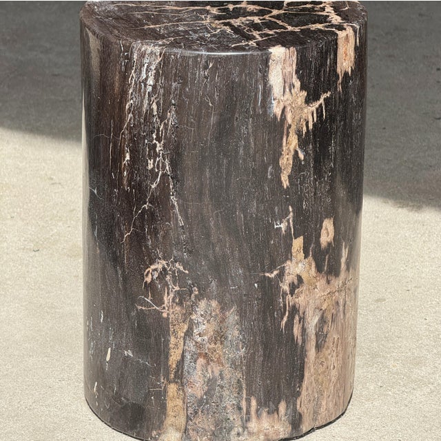 Side Table in Black Petrified Wood with Beige Fine Mesh Pattern For Sale - Image 10 of 18