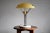 Vintage Italian Brass and Chrome Table Lamp For Sale - Image 10 of 10