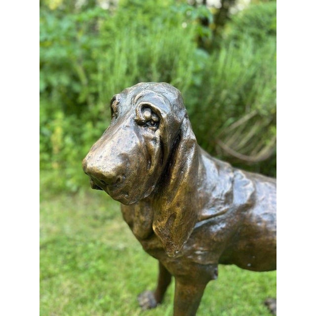 Life-Size Bronze Bloodhound Garden Statue from Christian Maas For Sale - Image 6 of 18