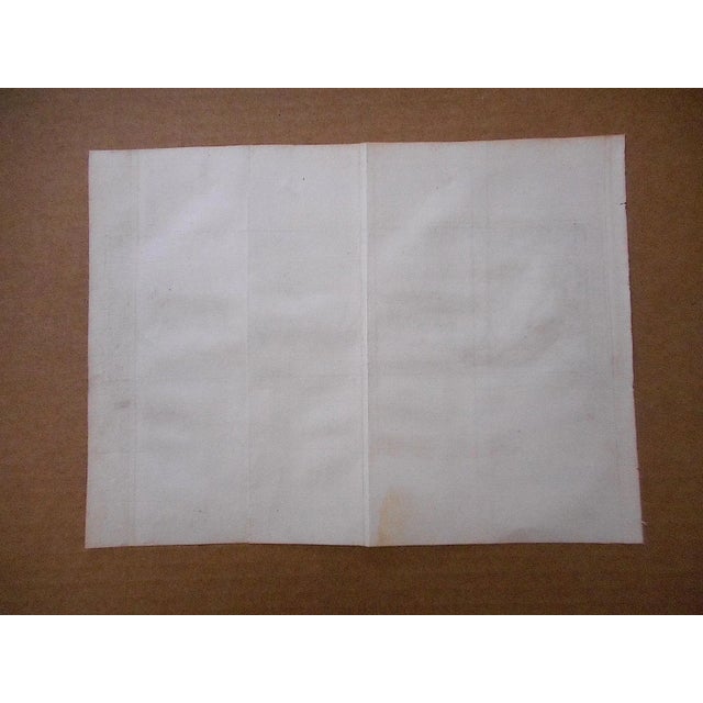 Early 19th Century Antique 19th C. Engravings-Sculpture of Herculaneum & Pompeii For Sale - Image 5 of 6