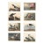 Collection of 4 Vintage 1966 John James Audubon Double-Sided Waterbird Prints For Sale