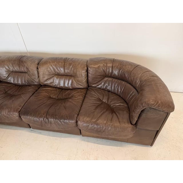 Brown DS 14 Modular Chair Sofa from de Sede, Set of 7 For Sale - Image 8 of 18