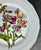 Late 20th Century 2pc-Bareuther Waldsassen (Bavaria) Botanical Porcelain Plate For Sale - Image 4 of 8