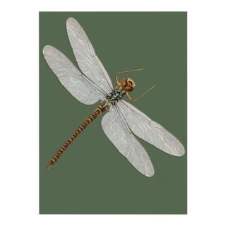 Bugs by Seguy #27 For Sale