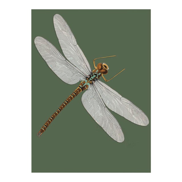 Bugs by Seguy #27 For Sale