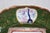 Green Antique Ashworth Brothers Trophies Green Ironstone Dinner Plate 10" For Sale - Image 8 of 14